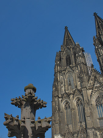 Kreuzblume vor Kölner Dom