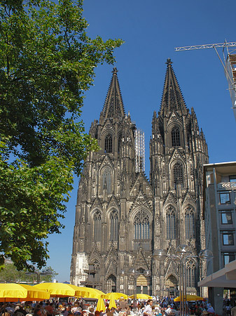 Foto gelbe Sonnenschirme vor Kölner Dom