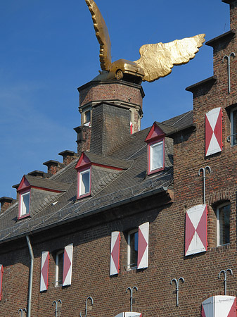 Flügelauto auf Kölnischem Stadtmuseum Foto 
