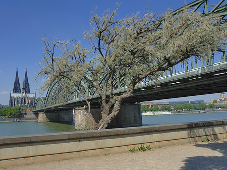 Hohenzollernbrücke am Kölner Dom Fotos