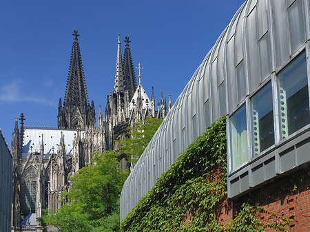 Hauptbahnhof vor dem Kölner Dom Foto 