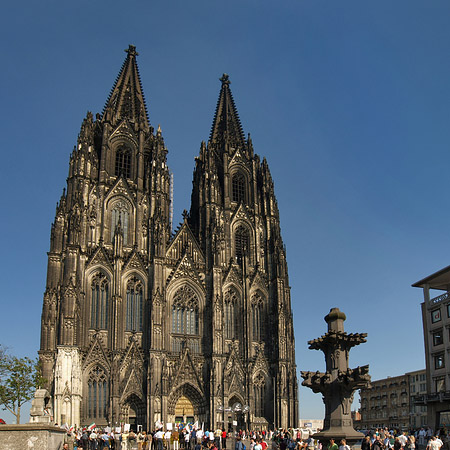 Kreuzblume vor Kölner Dom