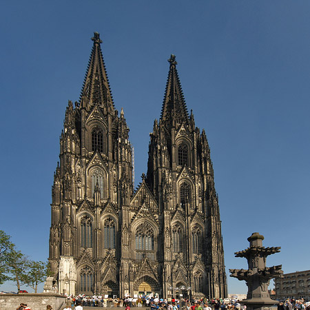 Foto Kreuzblume vor Kölner Dom
