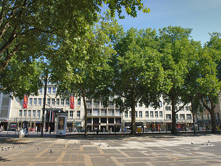 Neumarkt Foto 