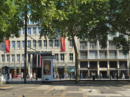 Neumarkt