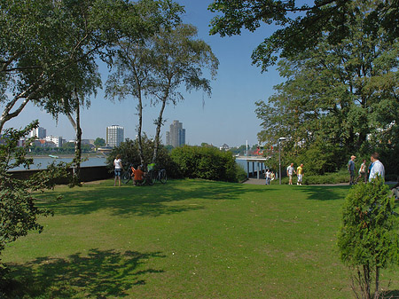 Foto Rheinpark