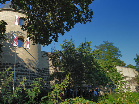Fotos Sachsenturm hinter Busch