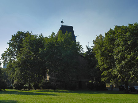 Sachsenturm hinter Busch Fotos