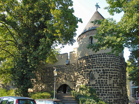 Sachsenturm Foto 