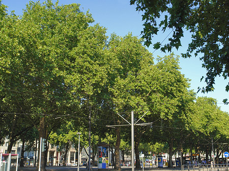 Foto St-Apern-Straße - Köln