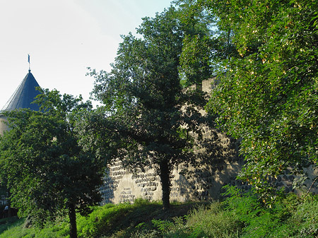 Foto Stadtmauer und Sachsenturm am Sachsenring