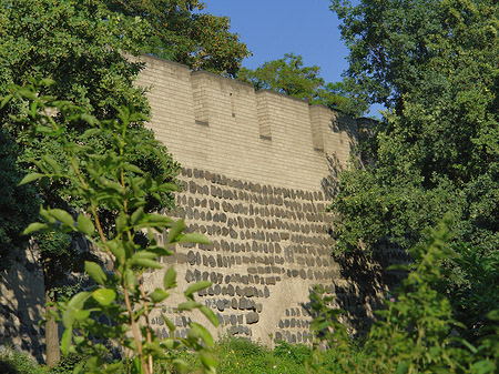 Fotos Stadtmauer am Sachsenring | Köln
