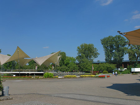 Foto Tanzbrunnen im Rheinpark