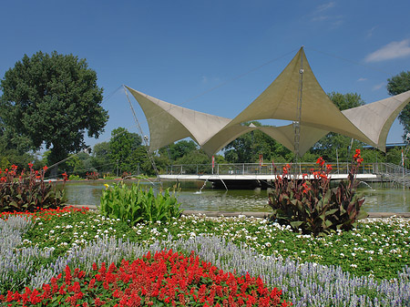 Foto Tanzbrunnen im Rheinpark - Köln